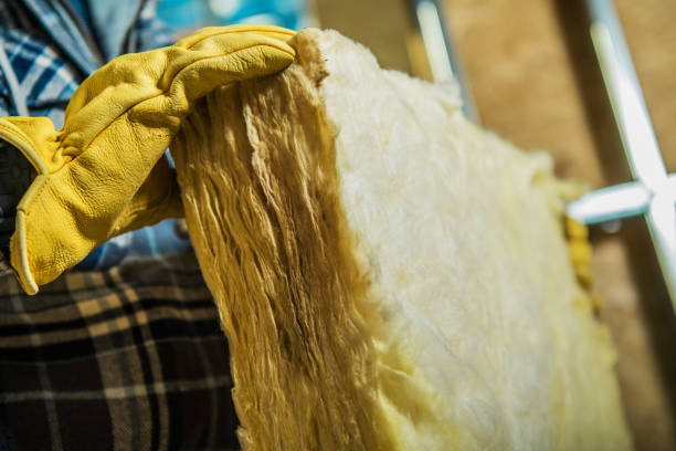 Best Types of Insulation in Ruston, LA