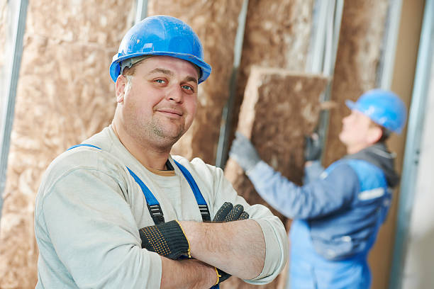 Best Insulation Installation Services in Ruston, LA