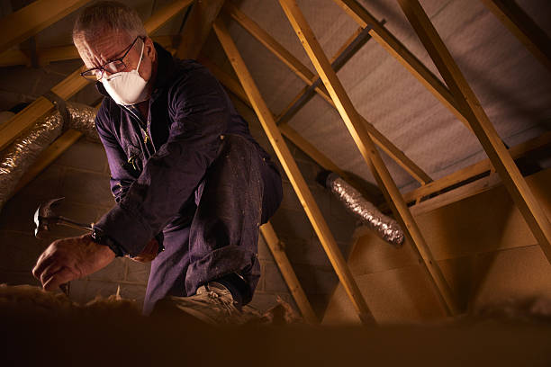Best Insulation Materials and Products in Ruston, LA